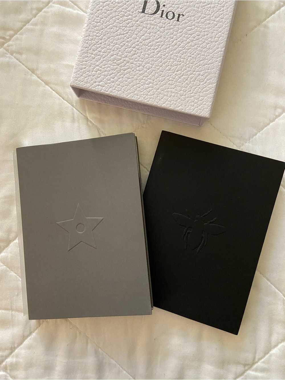 Dior Notebooks (2) in a white textured Dior box